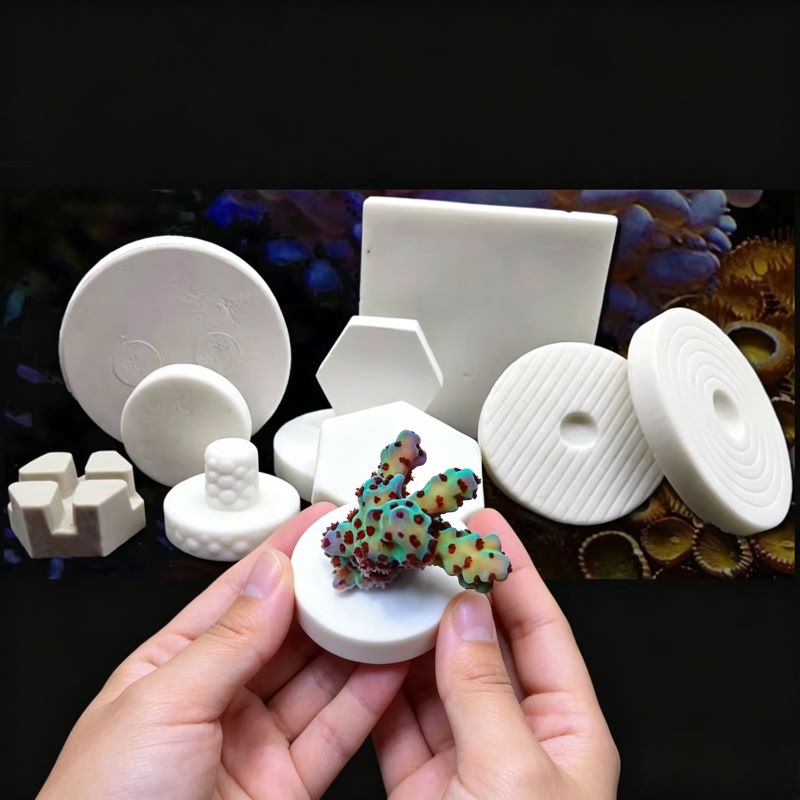 SPS Seramik Mercan Frag Plakal - Shelly Plug incelemesi ve fiyatı